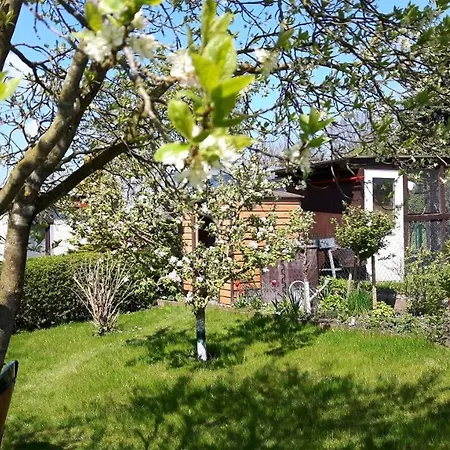 Ferienhaus Am See Drieberg West 341 Holiday home
