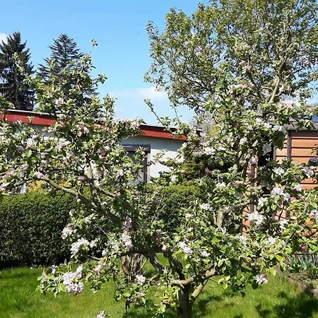 Holiday home Ferienhaus Am See Drieberg West 341 Dragun